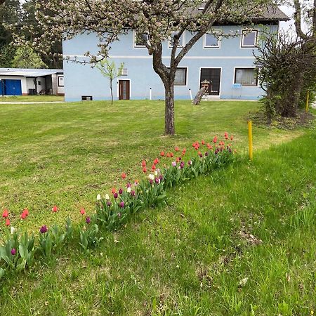 Nikolaierhaus Daire Feldkirchen in Kärnten Dış mekan fotoğraf