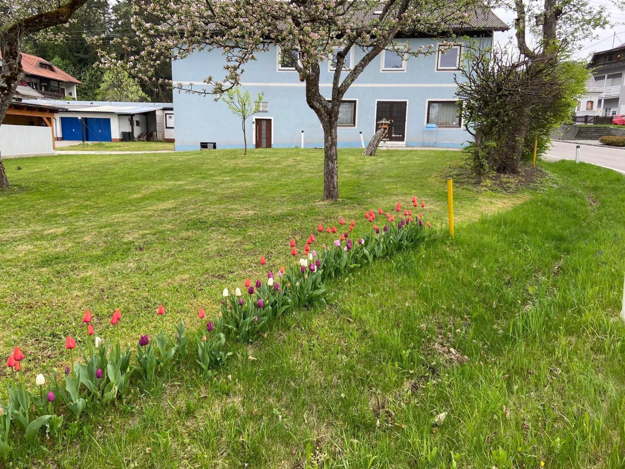 Nikolaierhaus Daire Feldkirchen in Kärnten Dış mekan fotoğraf