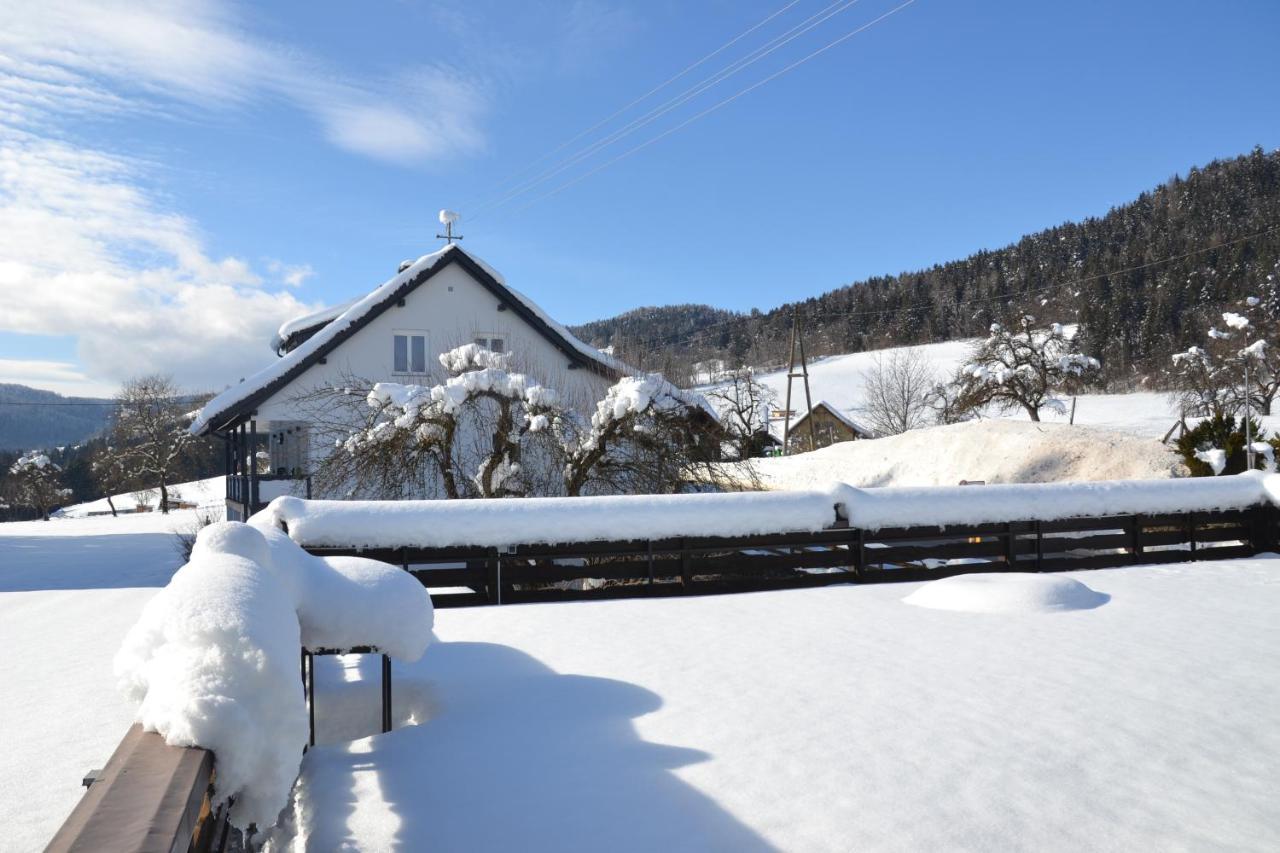 Nikolaierhaus Daire Feldkirchen in Kärnten Dış mekan fotoğraf